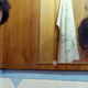 Illustration for article titled The Coming-of-Age Film We the Animals Is a Decidedly Queer Work of Art